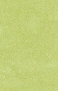 Комерційний лінолеум Beauflor Xtreme Roxanne 550M 2 м ( гетерогенний ) Beauflor-XtremeRoxanne550M фото